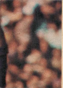 1979 Scanlens VFL #59 Ross Glendinning Back